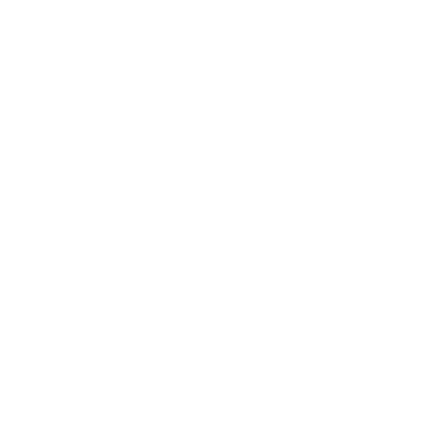 Logo for Team LNH