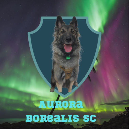 Logo for AuRORA Borealis SC