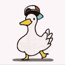 duck-dance_recjoe27750915.gif