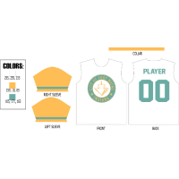 Fort Wayne Daisies Official Jersey