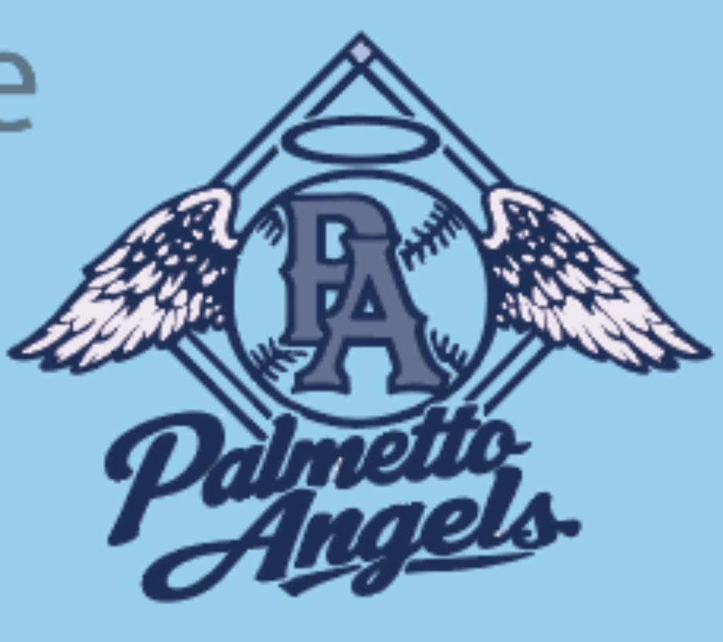 Logo for Palmetto Angels
