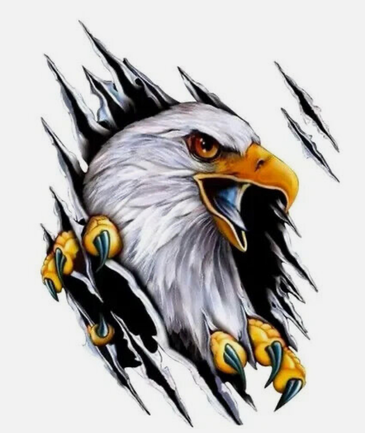 Logo for Screaming Eagles