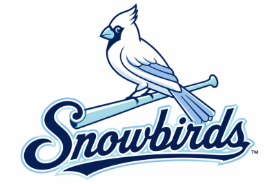 The Snowbirds