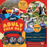 Adult Field Day Logo