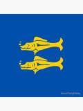 Blue Barracudas