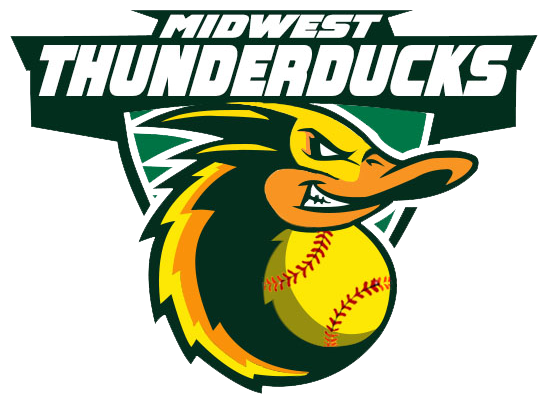 Logo for ThunderDucks