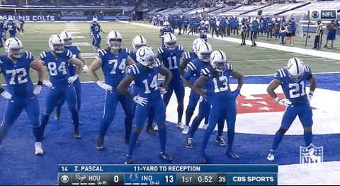 colt_recjoe1683076572.gif