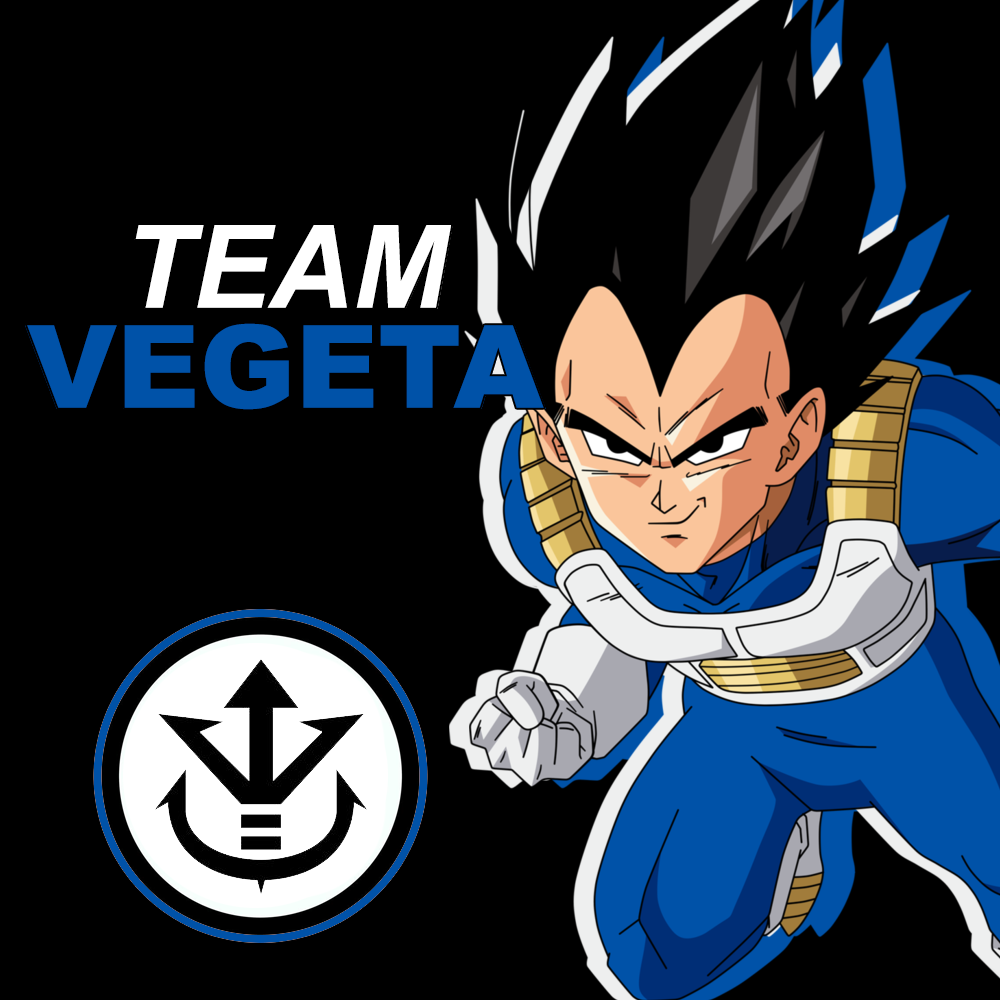 Logo for Team Vegeta